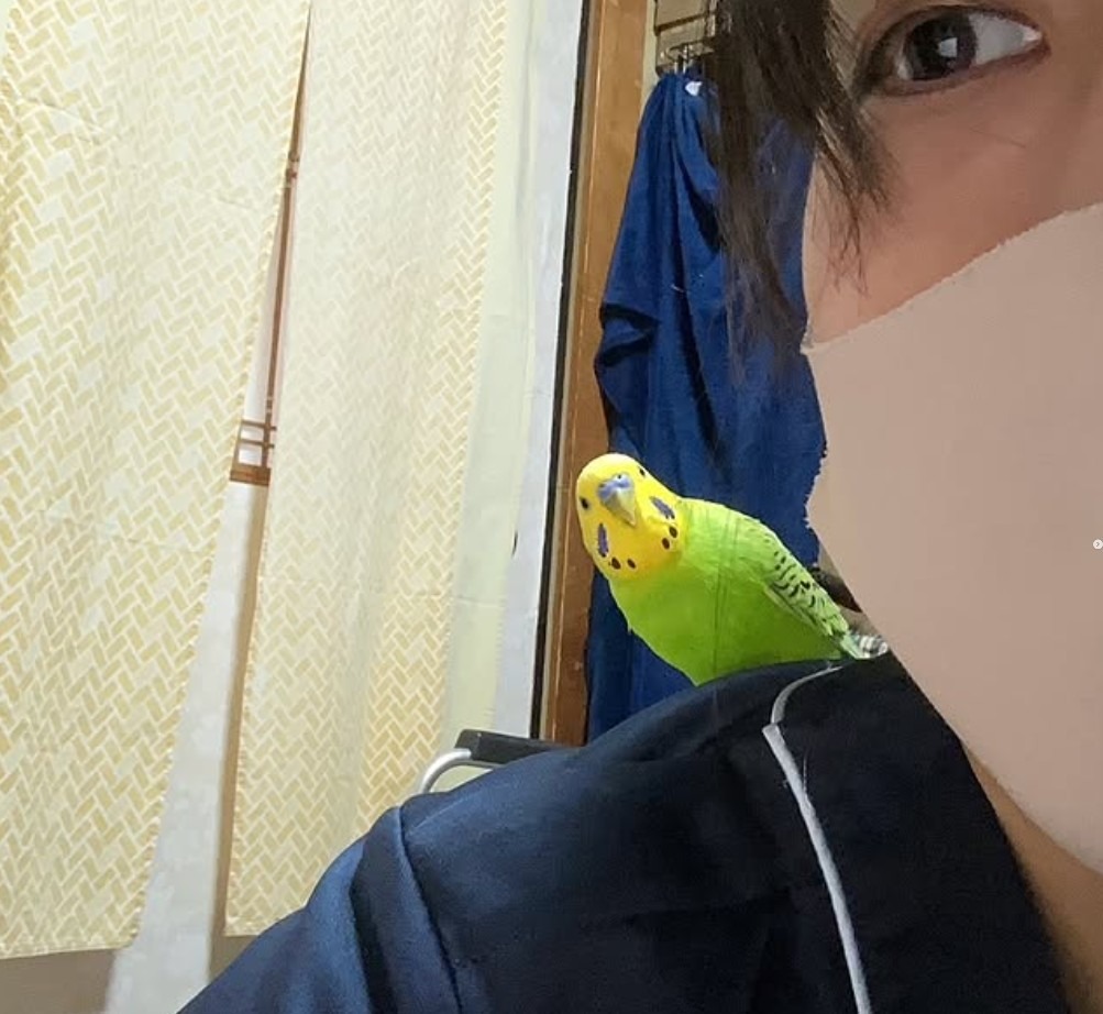 ✨看護師Y子さん🩺👩‍⚕️訪問先のエピソード✨